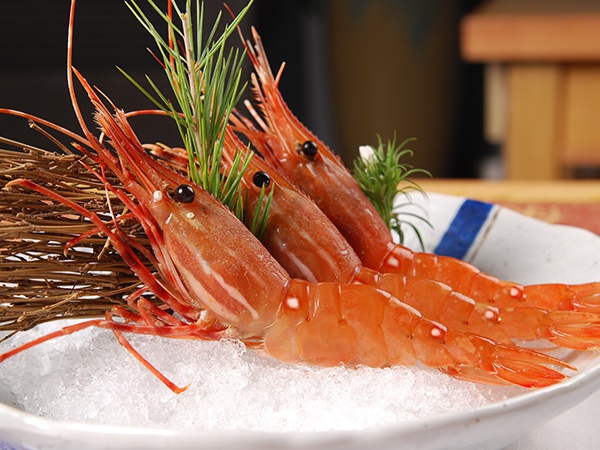 牡丹蝦