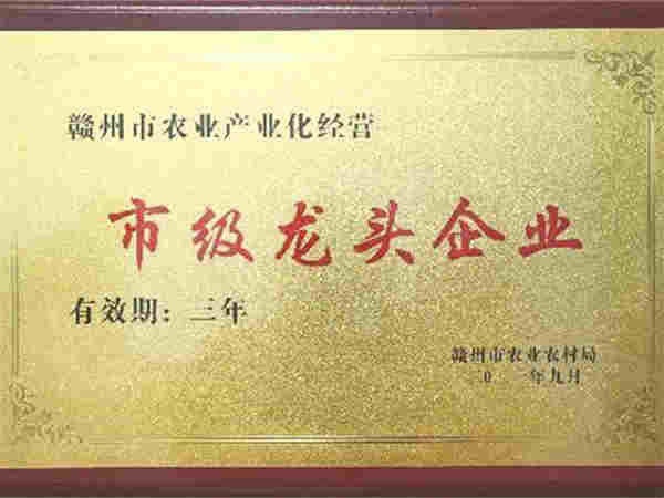 榮譽(yù)資質(zhì)